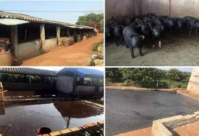 【產品推薦】這是一顆"吃一次想一年"的荔枝!