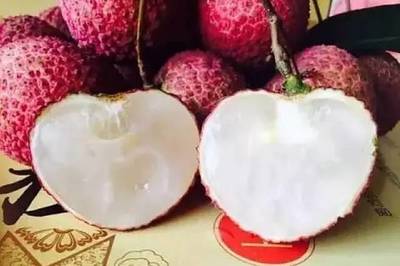 快來與博羅的荔枝來個&ldquo;鮮&rdquo;的約會吧!內(nèi)有柏塘荔枝采摘園哦