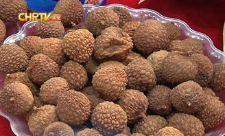 廣州農博會開幕,我區農產品實力 圈粉