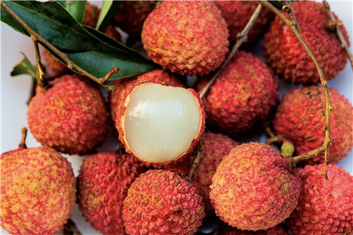 荔枝品種大全與最佳前三種推薦
