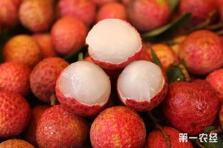 早熟無核荔枝搶占市場先機(jī)，海南特色水果再創(chuàng)佳績