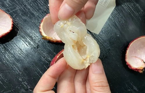 熱門荔枝大測評 無核荔枝來報(bào)恩了